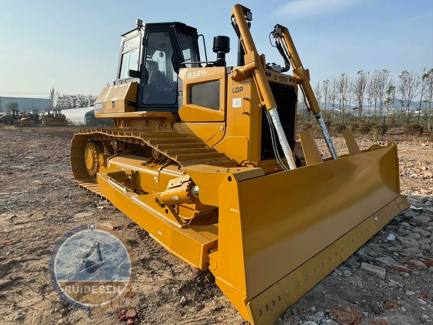 SENM818Fs Wetland (2)